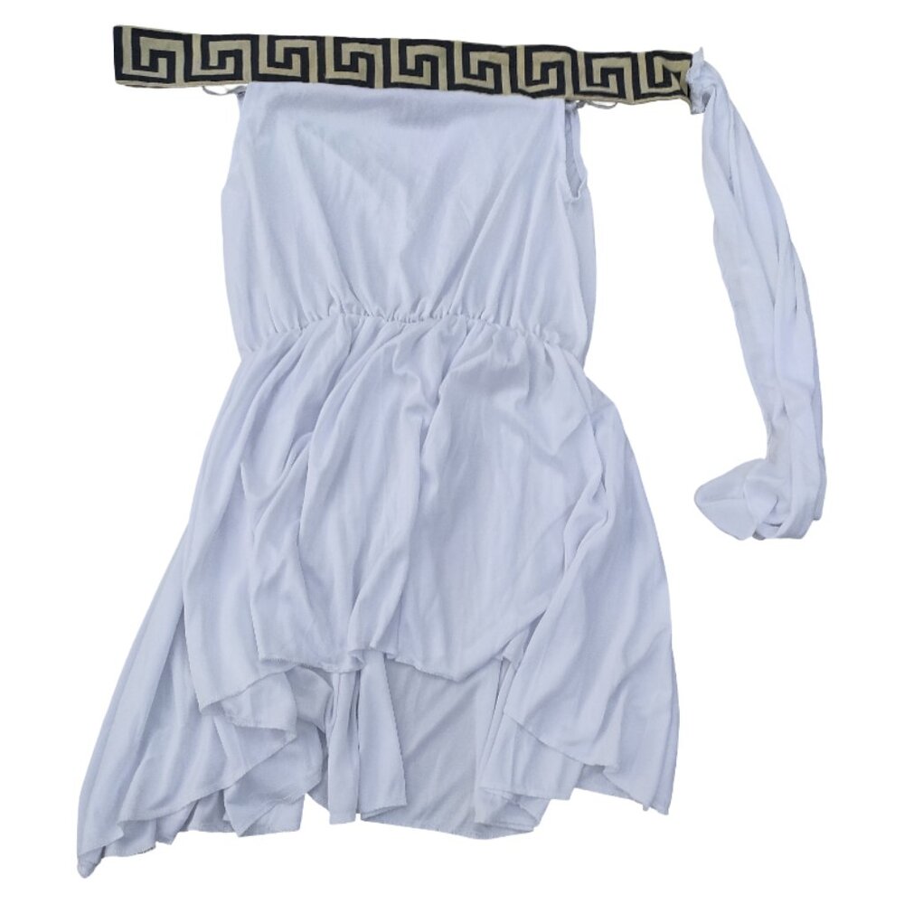 Toga Greek Goddess Muse Adult Size Large Halloween Costume Unisex Men/Women